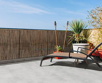 Cañizo bajo diferentes condiciones climáticas