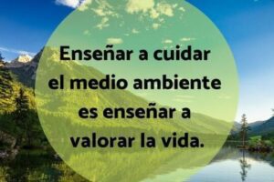 10 frases inspiradoras sobre el medio ambiente para motivarte a cuidar nuestro planeta