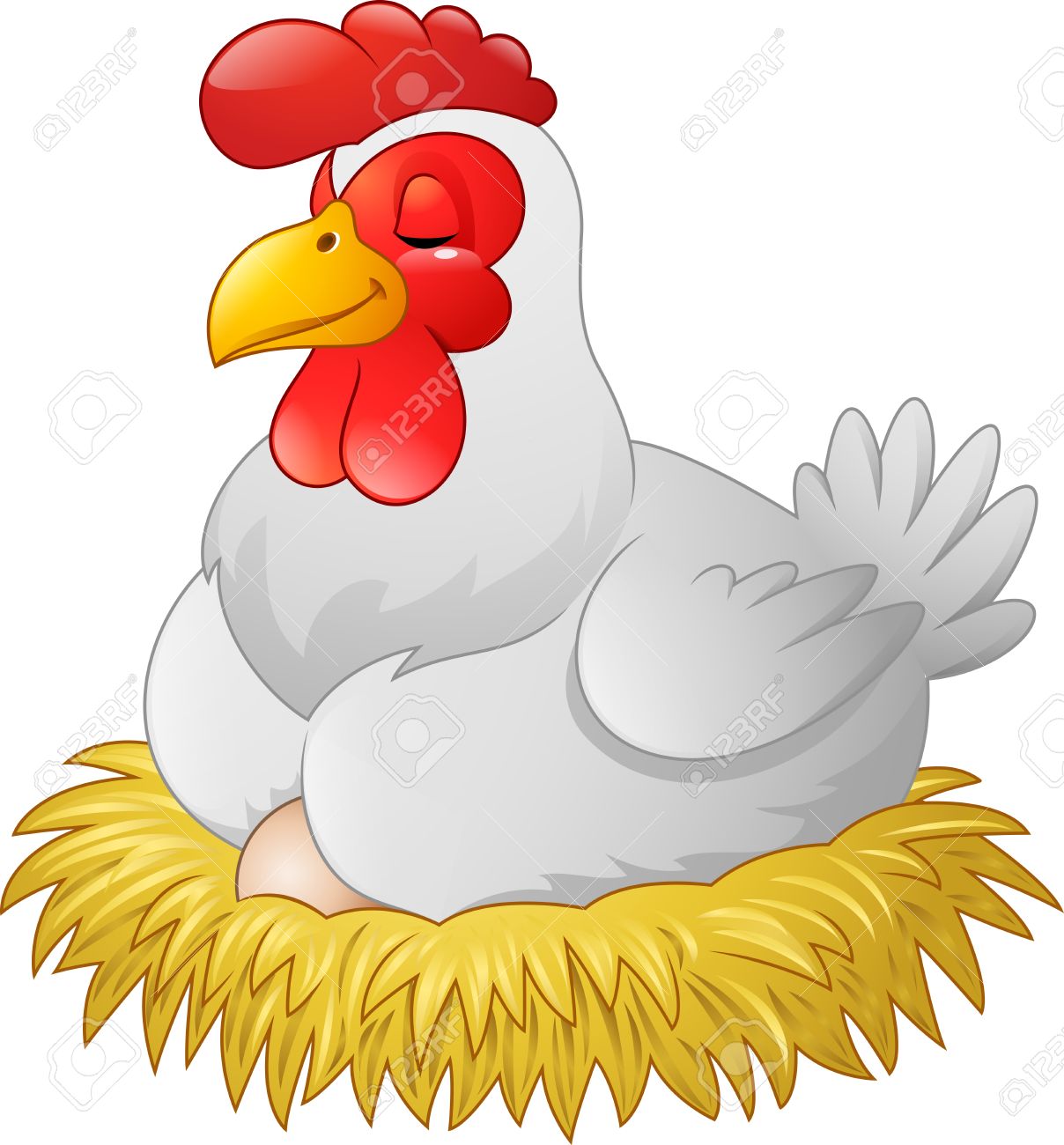 Gallina incubando sus huevos