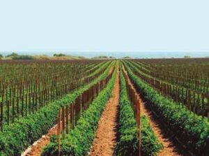 9ed4981aef83a9d33c7d383bdcb56089