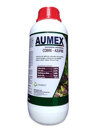 Compuestos de cobre y azufre