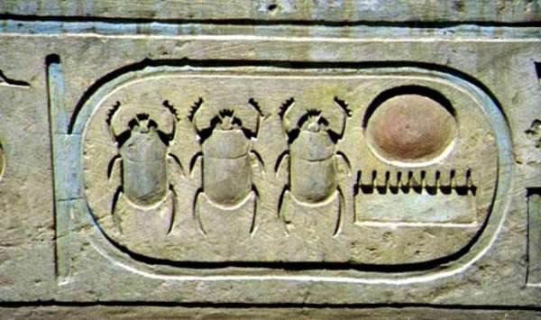 Qué representa el escarabajo en lo espiritual