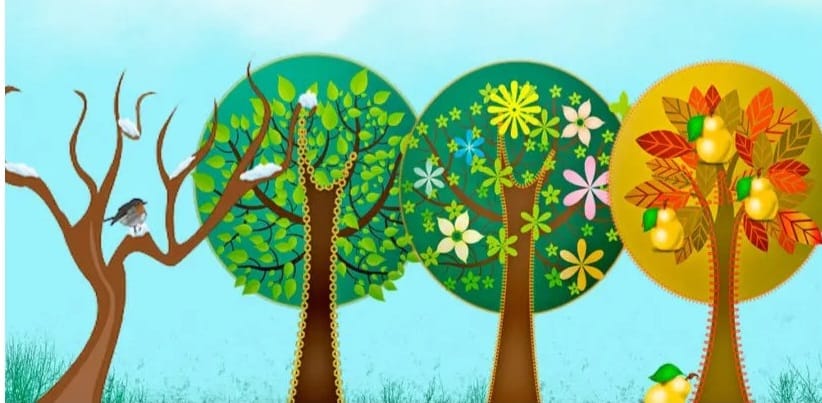 Cuál es el árbol que da frutos todo el año 3 Árbol con frutos en todas las estaciones