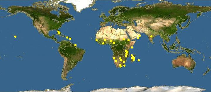 Mapa distribución árbol baobab en África