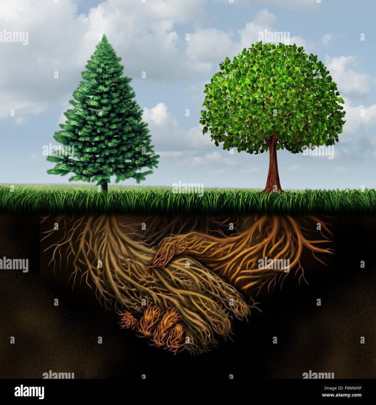 Cuándo Se Corta Un árbol Las Raíces Siguen Creciendo » Microscopio.pro