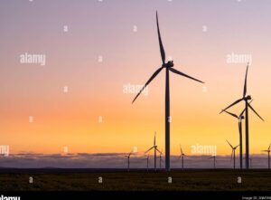 aerogeneradores en un paisaje natural y soleado
