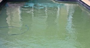 agua verde en una piscina con remedios caseros