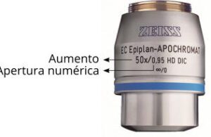 Apertura numérica del microscopio: todo lo que necesitas saber 14 apertura numerica del microscopio todo lo que necesitas saber