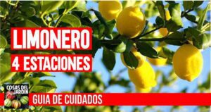 b78c7c27348546e2a57a932a36954066