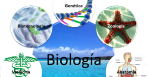 biologia 13
