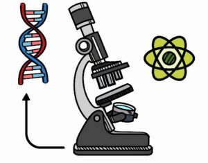 biologia 26