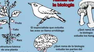 biologia 3