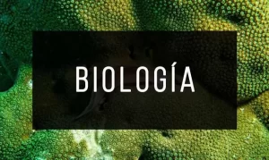 biologia 4