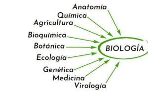 biologia 43