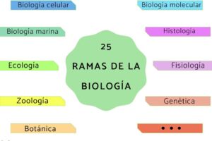 biologia 46