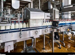 botellas de leche pasteurizada en una linea de produccion