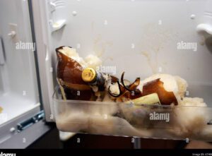cerveza explotando en el congelador