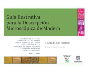 clasificacion de sistemas microscopicos guia completa