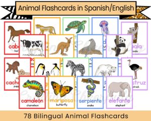 collage de animales con nombres en espanol