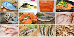 collage de diferentes tipos de pescado