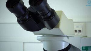 como calibrar un microscopio optico guia practica