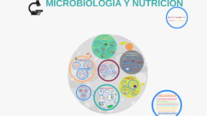 como se relaciona la microbiologia con la nutricion