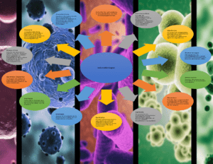 como se relaciona la microbiologia con las ciencias de la salud