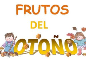 comparacion de frutos secos y frutos carnosos