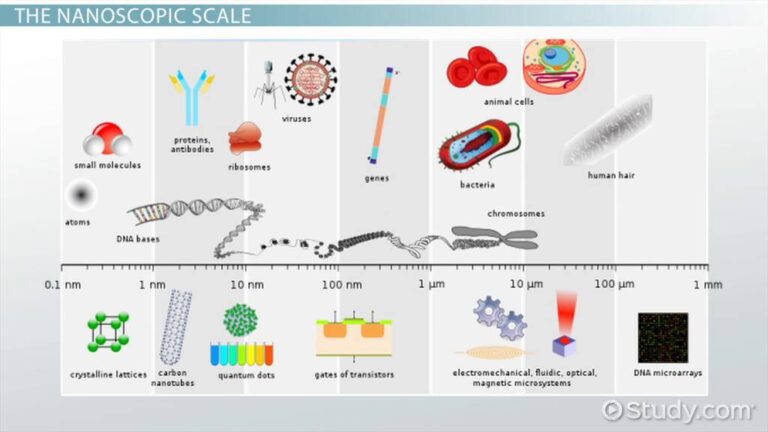 comparacion visual entre nanometros y micras