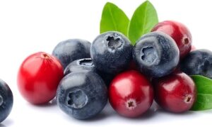 comparativa de arandanos rojos y arandanos azules