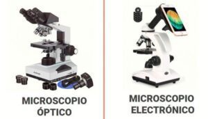 comparativa entre microscopio optico y microscopio electronico