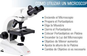 conclusion como manejar correctamente un microscopio