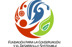 El quetzal en peligro de extinción en México: causas y soluciones 6 El quetzal en peligro de extinción en México: causas y soluciones