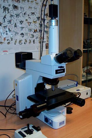 Descubre el Microscopio Confocal: Qué es y Cómo Funciona 6 Descubre el Microscopio Confocal: Qué es y Cómo Funciona