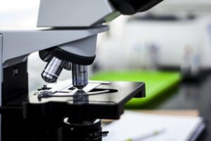 descubre la hematologia en detalle con nuestro microscopio virtual