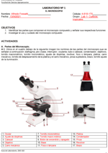 descubre la metodologia del microscopio guia completa