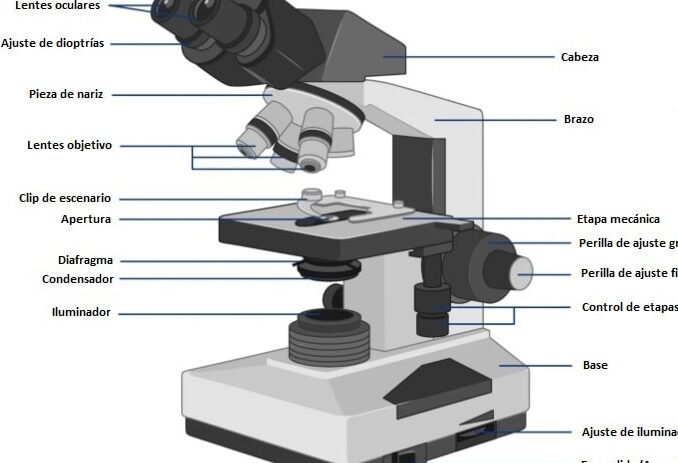 Diafragma de iris en microscopio: Todo lo que necesitas saber 9 Diafragma de iris en microscopio: Todo lo que necesitas saber