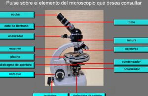 descubre las caracteristicas del microscopio petrografico