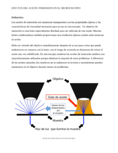 Descubre los beneficios: Aceite de inmersión y su funcionalidad 30 descubre los beneficios aceite de inmersion y su funcionalidad