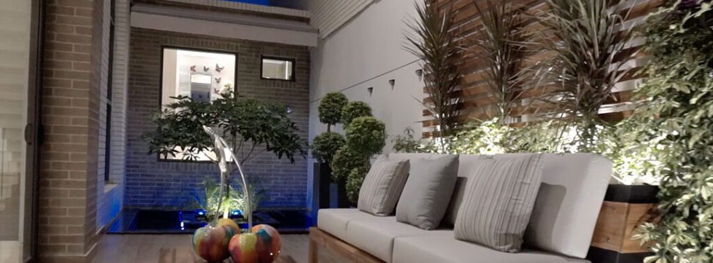 Descubre los diferentes tipos de sansevieria para decorar tu hogar 3 descubre los diferentes tipos de sansevieria para decorar tu hogar