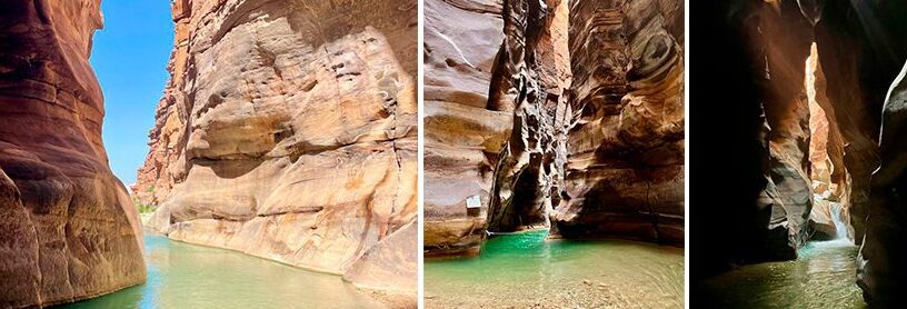 Descubre los impresionantes recursos naturales del Ecuador 3 descubre los impresionantes recursos naturales del ecuador 1
