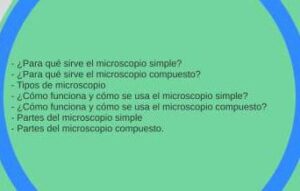 diferencias entre microscopio simple y compuesto cual elegir