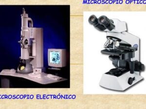 Diferencias Microscopio Óptico vs Electrónico: ¿Cuál Elegir? 20 diferencias microscopio optico vs electronico cual elegir 1