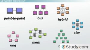 diferentes topologias de red en conectores