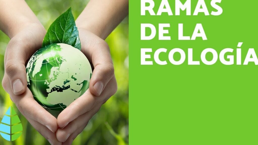 Ecosistemas acuáticos y terrestres: diferencias y características 7 Ecosistemas acuáticos y terrestres: diferencias y características