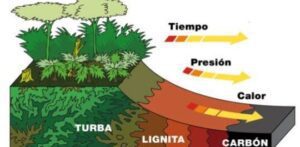 El origen de los combustibles fósiles: cómo se formaron y su importancia actual 4 el origen de los combustibles fosiles como se formaron y su importancia actual