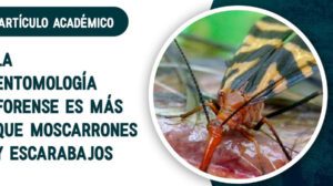 entomologia