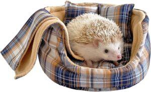 erizo en una cama de algodon