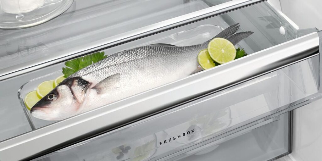 explorando los diferentes tipos de tejidos vegetales una guia completa