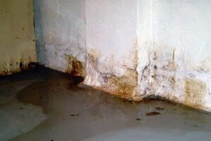filtraciones de agua 1